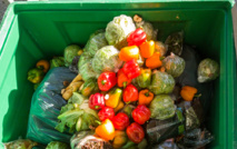 Gaspillage : près de 14% des aliments se perdent entre la ferme et le supermarché