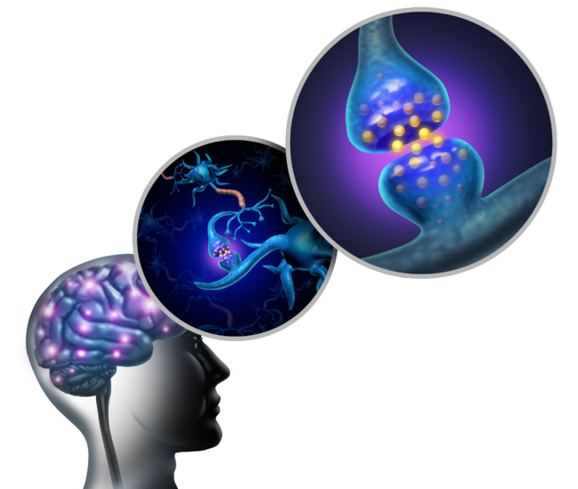 Sclérose en plaques : l’étude clinique du masitinib présentée à la conférence ACTRIMS-ECTRIMS