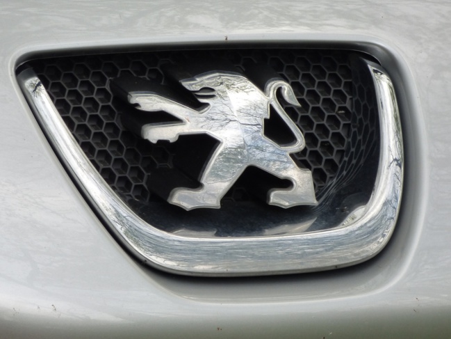 Stellantis mise sur l'électrique pour dynamiser sa croissance