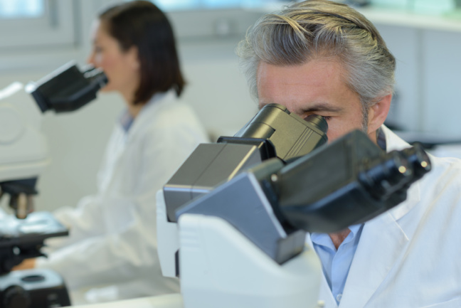 Emplois, rentabilité, attractivité : le secteur pharmaceutique lui aussi sous tension Emplois, rentabilité, attractivité : le secteur pharmaceutique lui aussi sous tension