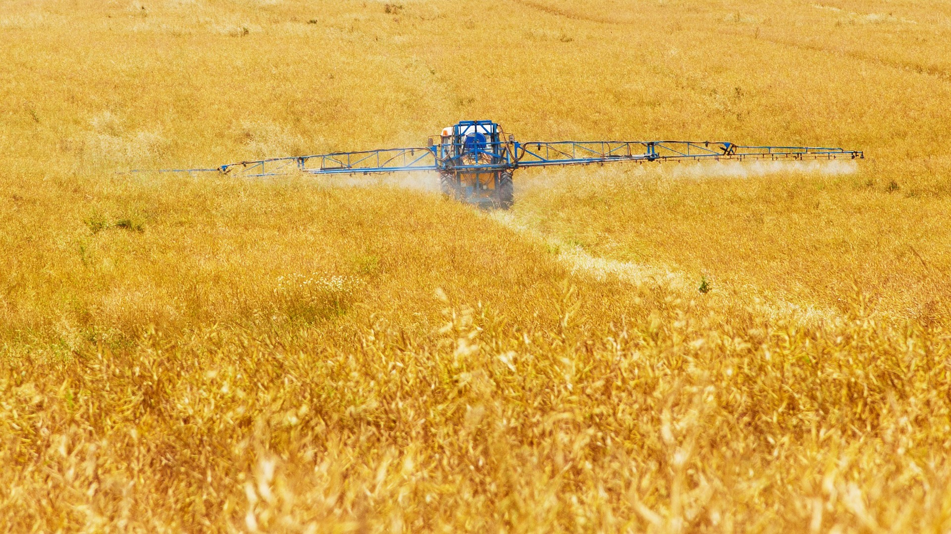 Perturbateurs endocriniens : une définition a été adoptée à Bruxelles