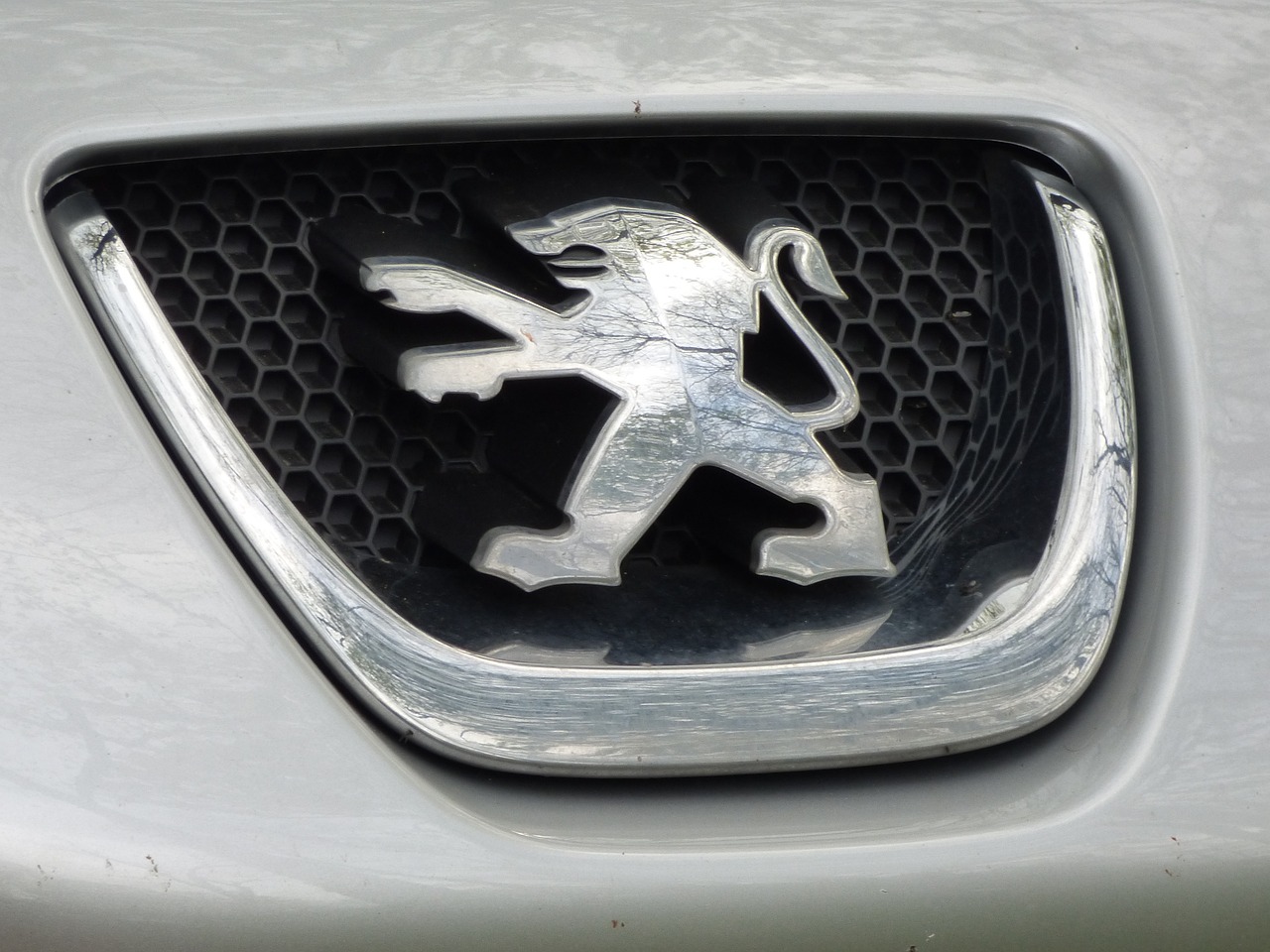Stellantis mise sur l'électrique pour dynamiser sa croissance