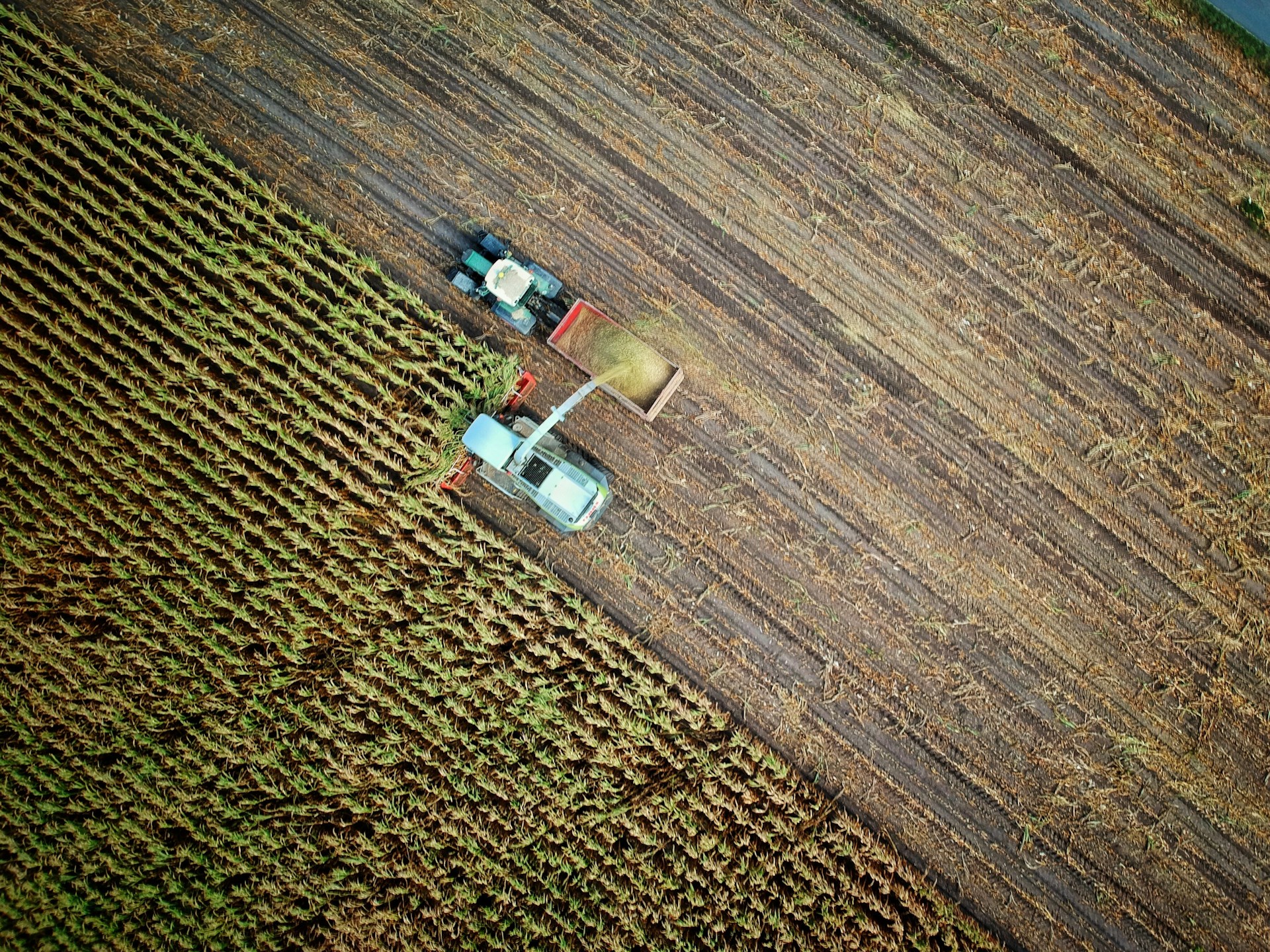 Accord Mercosur : Bruxelles valide, les 27 devront trancher