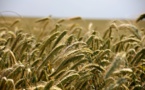 La semaine de l'Eco du 10 octobre 2016