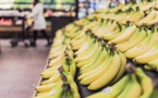 Gaspillage alimentaire : des pertes conséquentes pour les magasins