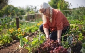 Retraites des agriculteurs : cap sur les 25 meilleures années
