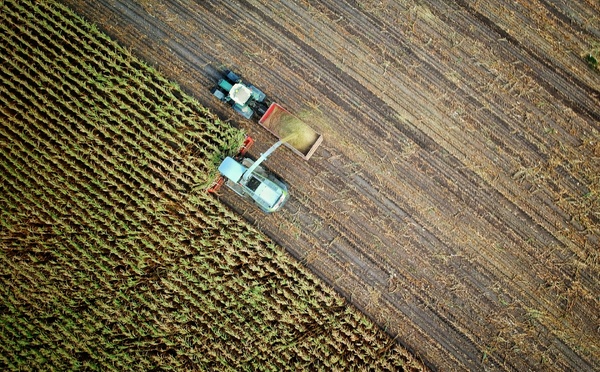 Accord Mercosur : Bruxelles valide, les 27 devront trancher