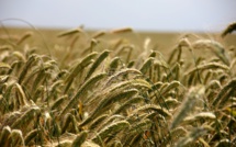 La semaine de l'Eco du 10 octobre 2016 La semaine de l'Eco du 10 octobre 2016
