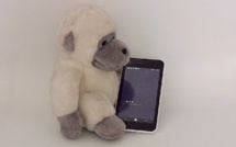 Uber considérée comme une « société de transports » Uber considérée comme une « société de transports »