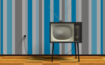 Un seul patron pour tout l'audiovisuel public ?