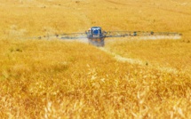 Monsanto condamné à cause du glyphosate, Bayer chute en Bourse Monsanto condamné à cause du glyphosate, Bayer chute en Bourse