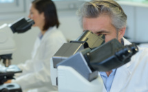 Emplois, rentabilité, attractivité : le secteur pharmaceutique lui aussi sous tension Emplois, rentabilité, attractivité : le secteur pharmaceutique lui aussi sous tension