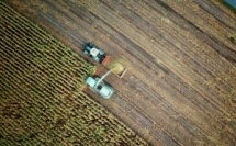 Accord Mercosur : Bruxelles valide, les 27 devront trancher